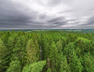 Fototapeta na wymiar Forest top view with green tree tops