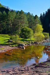 Selva de Oza (Huesca) - 01