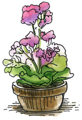 Watercolor tropical leaves, potted house plants, watercolor illustration