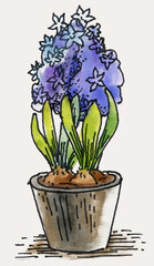 Watercolor tropical leaves, potted house plants, watercolor illustration