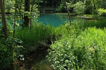 Die Rhumequelle im Südharz.