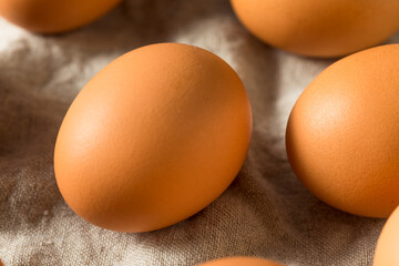 Raw Organic Brown Eggs