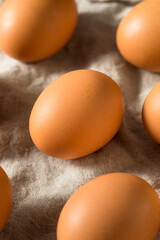 Raw Organic Brown Eggs