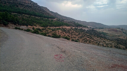 Road in the mountains