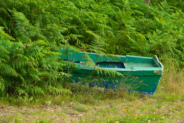 Barca de madera antigua entre la maleza