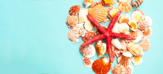 Red starfish against the background of seashells. Summer time or hello summer. Close-up
