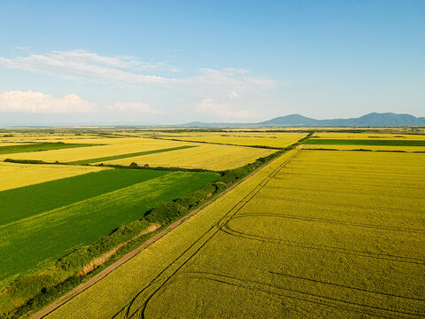 wheat and barley field seen from above © Florin