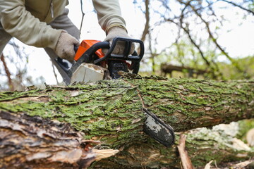 man's hands are holding sawing chainsaw close up. sawdust flying out of chainsaw