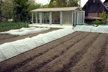 Furrows in a prepared almost empty vegetable garden in springtime. Vitamins healthy biological...