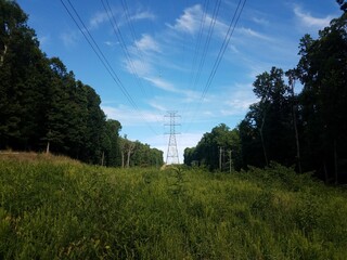 green grass field and electrical tower and lines