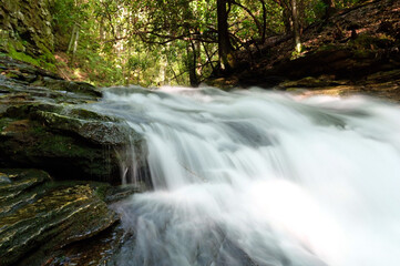 Fototapeta na wymiar Along a stream in the Appalachian Mountains.