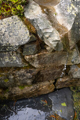 natural spring water source among stones