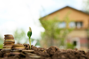 Money growth concept. Golden coins in soil with young plant and house on blurred bokeh background.
