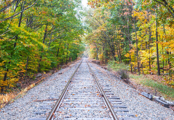 Railway lines through uatumn colored forest  at Bears Notch on Kancamagus Highway