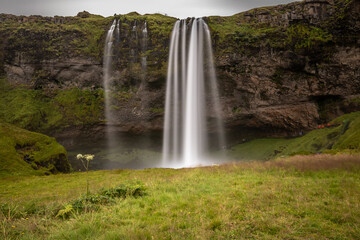 Fototapeta premium Icelandic Waterfall Close Up