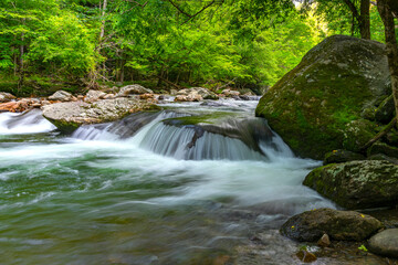 Little Pigeon River 8