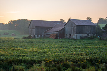 Obraz premium old barn in the field