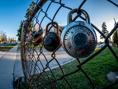 rusty padlocks on fence