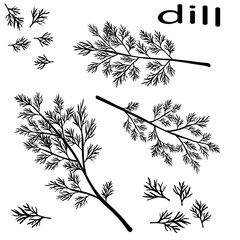 Black icon of fresh dill. Green vegetables.  Black silhouette dill close-up. Vector illustration.