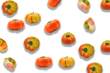 pomodoro cuore di bue pomodori serra coltivazione verdura estate orto
