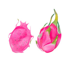 Set of fresh ripe pitaya roja (pink dragonfruit) of the genus Hylocereus, Cactaceae family. Pitahaya red tropical exotic fruit, half and pieces. Watercolor illustration, Aquarelle realistic style.