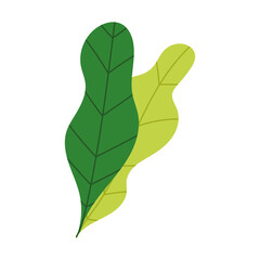 leaves foliage nature botanical isolated design icon