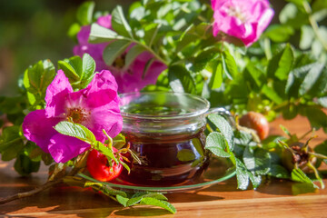 Healthy tea of dogrose berries. Herbal medicine.
