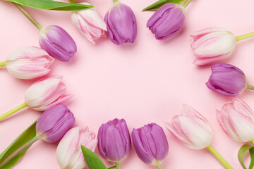 Pink tulips over pink background
