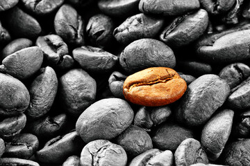 Coffee beans concept background backdrop texture selective saturation 
