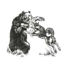 A sketch of the battle of a bear with a dog on a white background. engraving or drawing.