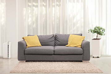 Interior design of a living room with a gray sofa, plant and curtain