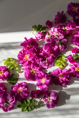 Pink edible roses on white wooden table.