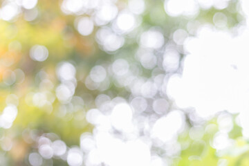 Fototapeta na wymiar Beautiful green bokeh on naturel background. Abstract blurred background green bokeh from tree.