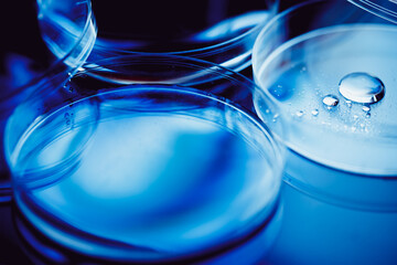 Petri dishes. Laboratory concept.