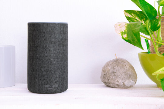 Grey Amazon Alexa Echo in a living room on a white wooden shelf next to a plant and zen decoration. Empty  copy space for Editor's content.