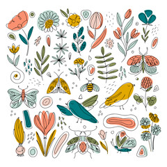 Spring collection with birds, flowers and butterflies isolated