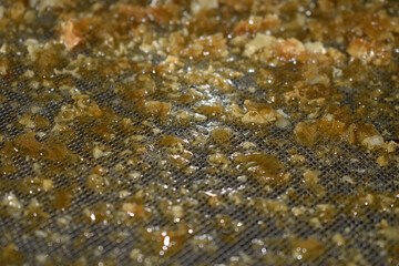 Filtrazione del miele  ft0205_0690 Filtration of honey	