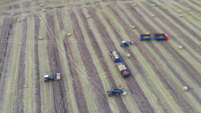 Aerial shot of a hay tractor collecting and loading hay bales in a beautiful Italian landscape with wind turbines in the background
