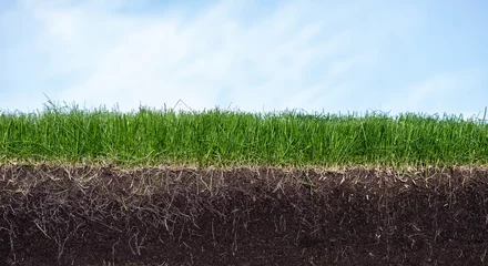 Foto auf Acrylglas Gras Grüner Abschnitt eines Grases mit Erde und Wurzeln unter blauem Himmel