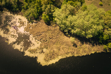 lake surrounded by green spring forest. top view of a mysterious lake covered with green algae - Aerial Flight 