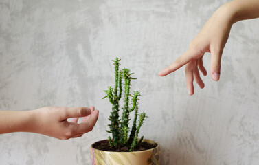 hands of children who can't touch each other through the cactus, the concept of social distance and...
