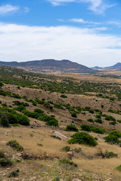 รูปภาพOlya เลือกดูภาพถ่ายสต็อก เวกเตอร์ และวิดีโอ103 Adobe Stock