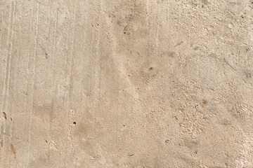 dry flower of the umbrella family - Heracleum against the blue sky. Hogweed - a poisonous plant