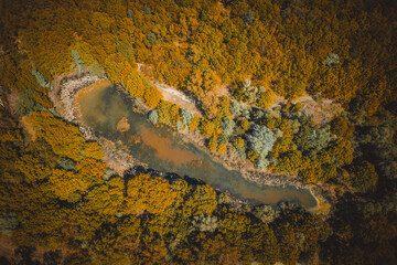 Obraz na płótnie Canvas lake surrounded by yellow autumn forest. top view of a mysterious lake covered with green algae - Aerial Flight 