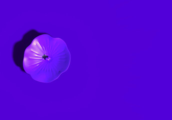 purple a flower on purple minimalist background 3d illustration