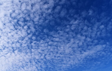 Tall Cumulus white clouds against a sky.