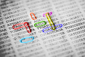 Fototapeta premium DNA encoding. Text with nucleobases.