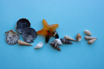 Sea shells edge of the hat on a blue background.The concept of vacation, travel