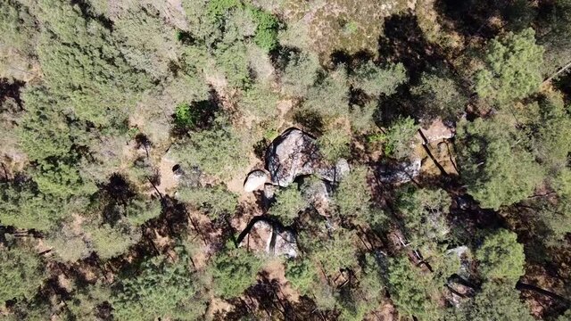 survol de la for&ecirc;t de Fontainebleau