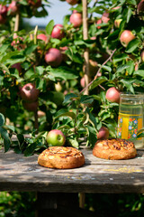 Obraz na płótnie Canvas Apple pies on an old wooden table under an apple tree in a village. Bright sunny day and tasty homemade dessert with compote.